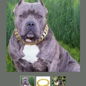 18k gold Linked dog Collar